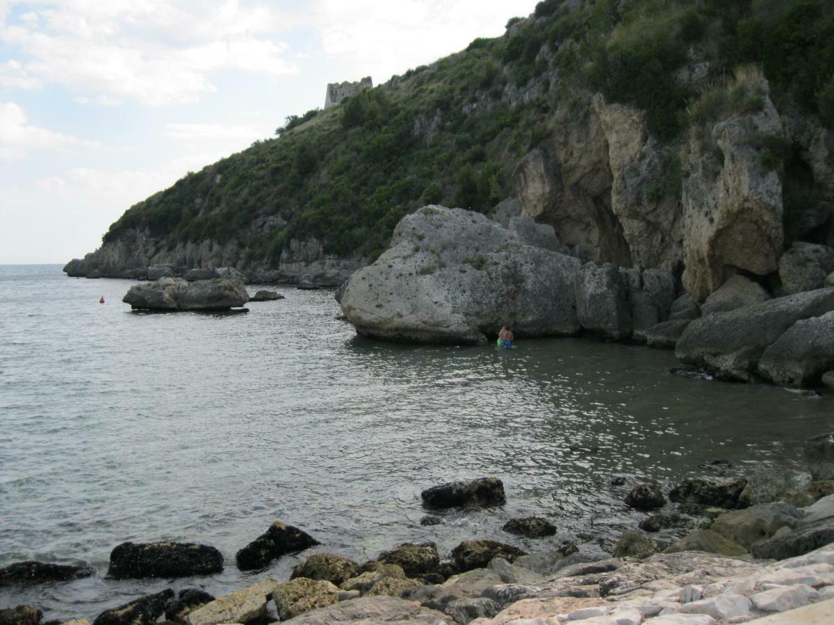 Villa Il nespolo Scauri  Esterno foto